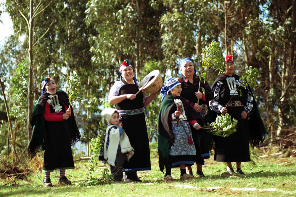 mapuche-experience9 mapuche-experience9